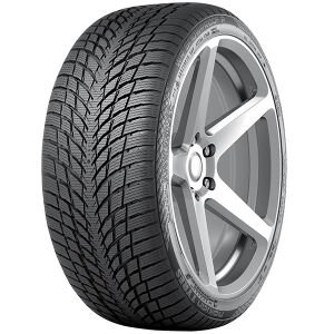 Nokian 255/45R19 104V XL WR Snowproof P (Kış) (2024)